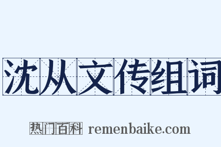 沈从文传组词是什么意思的图片